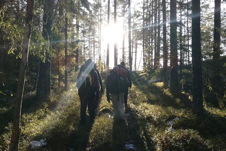 Explorando os bosques de Estocolmo