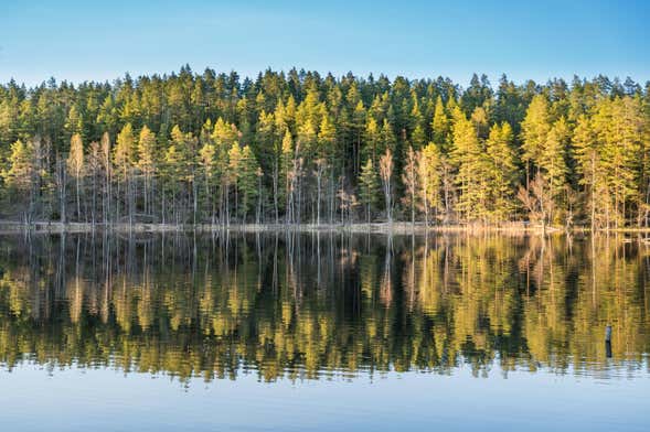Trilha pelos bosques de Estocolmo